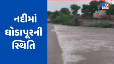 Gujarati Video : જામનગરના કાલાવડ શહેરની ફલકૂડી નદીમાં ઘોડાપૂરની સ્થિતિ
