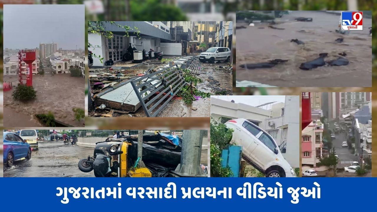 Viral Video : ગુજરાતમાં વરસાદી પ્રલયમાં કાર, જાનવર અને માણસો તણાયા, જુઓ વરસાદી તબાહીના ભયાવહ દ્રશ્યો