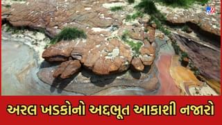Gujarati Video: ગુરુ ગ્રહ જેવા કચ્છના અરલ નજીકના ખડકોનો અદ્દભૂત આકાશી નજારો માણો