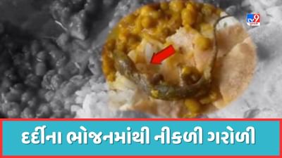 Ahmedabad : શારદાબેન હોસ્પિટલમાં દર્દીના ભોજનમાંથી નીકળી ગરોળી, ત્રણ દર્દીઓએ ગરોળીયુક્ત ભોજન લેતા ઝાડા-ઉલ્ટીની સમસ્યા, જૂઓ Video