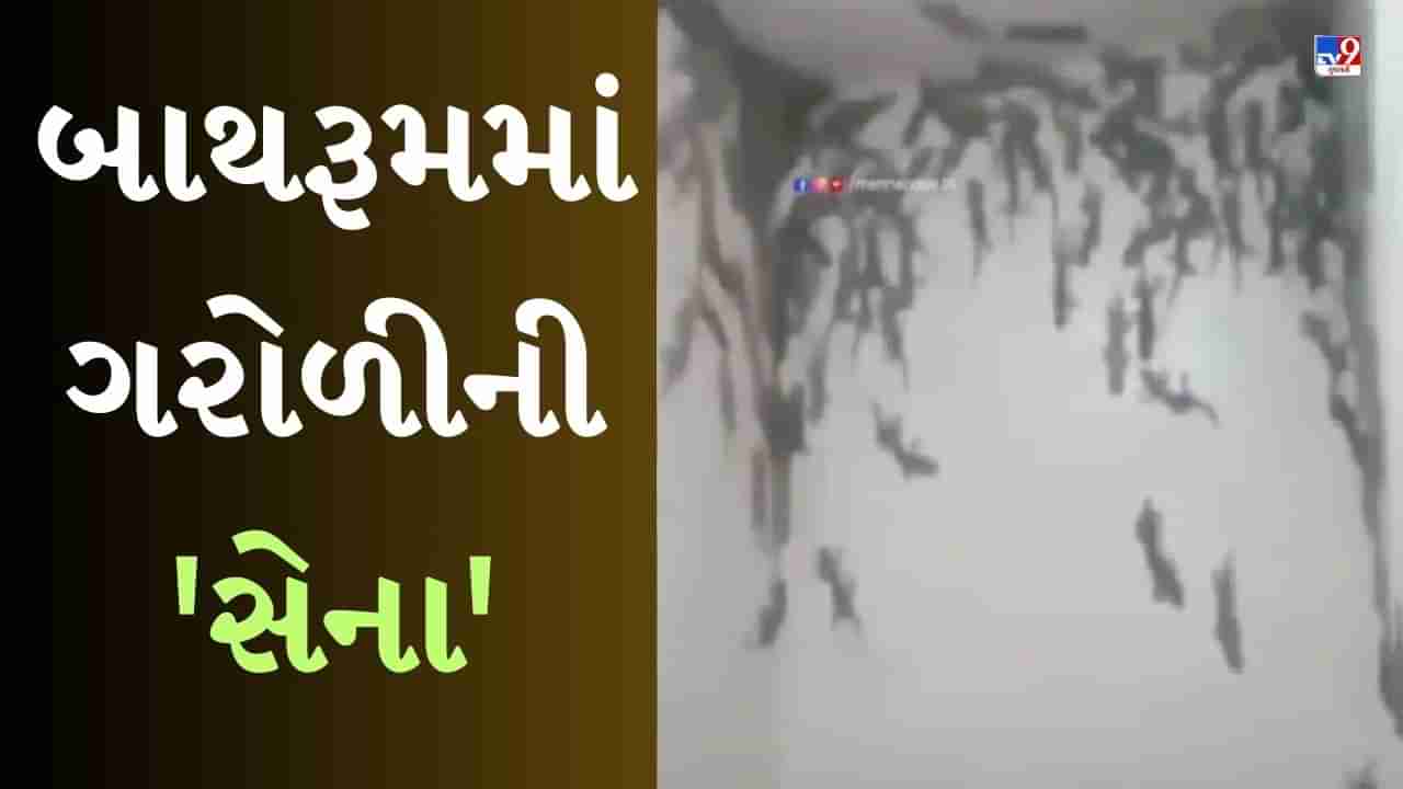 Viral Video : બાથરૂમમાં દેખાઈ ગરોળીની આખી સેના, લોકોએ કહ્યું- ટોયલેટ છે કે એમેઝોનનું જંગલ