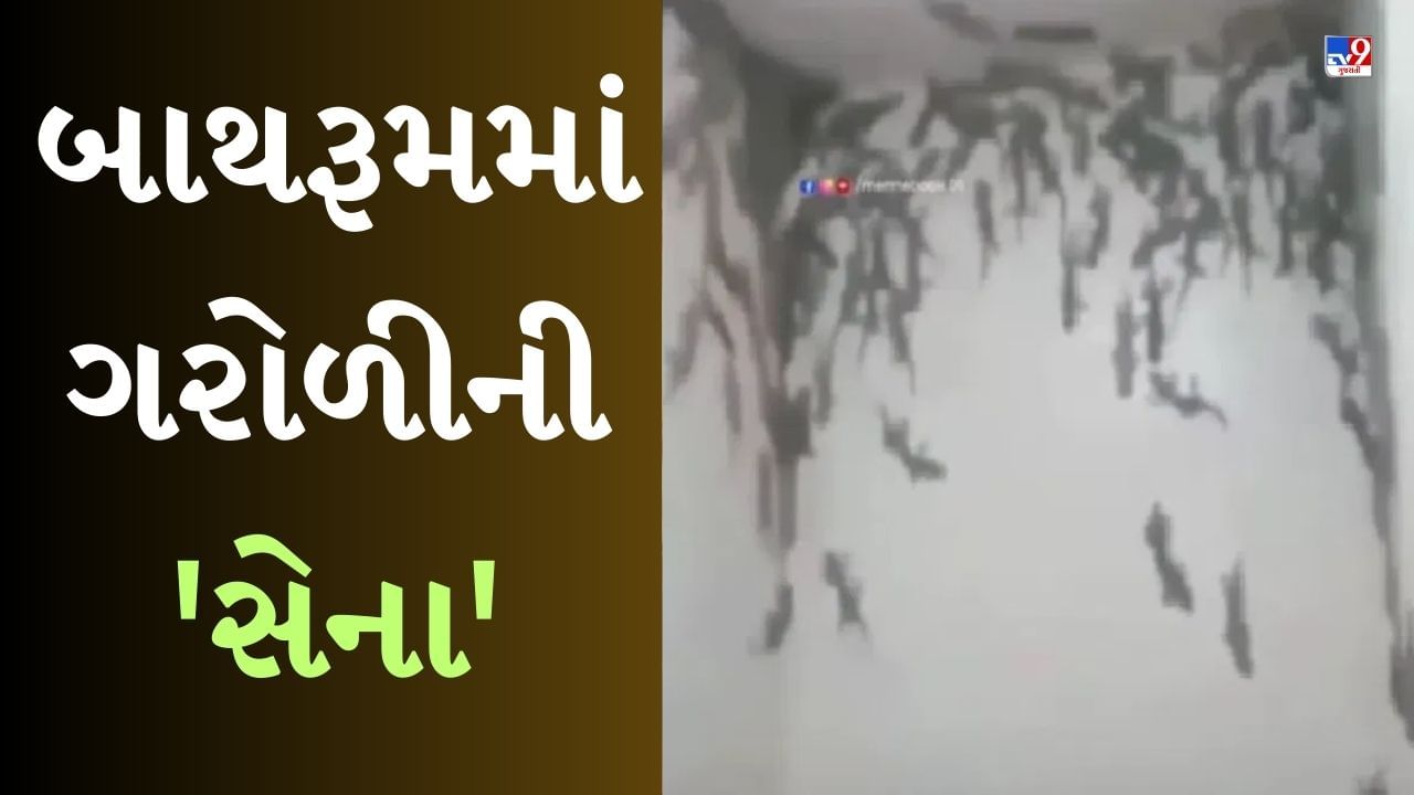 Viral Video : બાથરૂમમાં દેખાઈ ગરોળીની આખી સેના, લોકોએ કહ્યું- ટોયલેટ છે કે એમેઝોનનું જંગલ