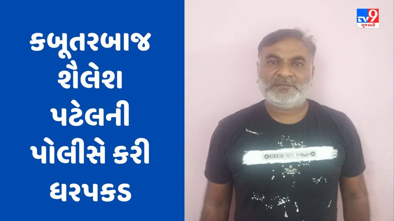 Gujarati Video : અમેરિકા મોકલવાના બહાને છેતરપિંડીના કેસમાં SOGએ વધુ એક કબૂતરબાજ શૈલેશ પટેલની કરી ધરપકડ
