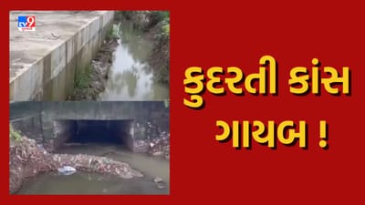 Monsoon 2023 : કાંસ ઉપરના બાંધકામને કારણે નવસારીમાં ભરાયા વરસાદી પાણી, જુઓ Video