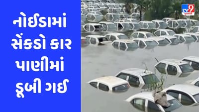 પૂરના પાણીમાં ડૂબી ગઈ સેંકડો કાર, નોઈડાનું આ દ્રશ્ય જોઈ લોકો ગભરાઈ ગયા, જુઓ Video