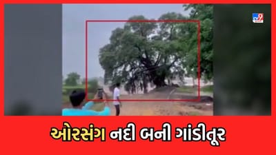 Rain Video: છોટાઉદેપુરમાં મેઘરાજાની તોફાની બેટીંગ, ઓરસંગ નદી બની ગાંડીતૂર