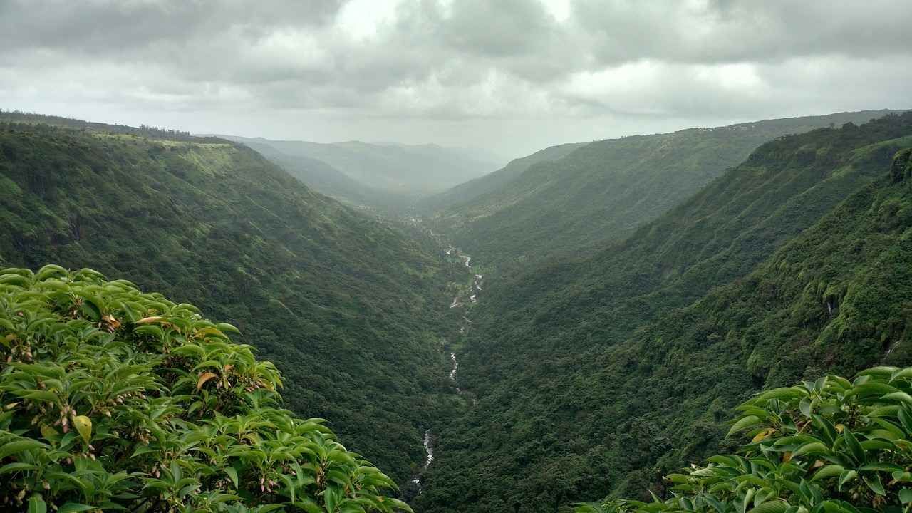 કુદરતની સુંદરતા જોવા માટે ચોમાસું સારો સમય છે. જો તમે પ્રકૃતિ પ્રેમી છો, તો તમારે અમુક સ્થળોની મુલાકાત અવશ્ય લેવી જોઈએ. ચાલો જાણીએ કે એવી કઈ જગ્યાઓ છે જ્યાં તમે ચોમાસામાં કુદરતી સૌંદર્યની પ્રશંસા કરી શકો છો.