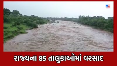 Rain Updates: રાજ્યના 85 તાલુકામાં સાર્વત્રિક વરસાદ, સૌથી વધુ વલસાડના કપરાડામાં 9 ઈંચ વરસાદ ખાબક્યો Rain Updates: રાજ્યના 85 તાલુકામાં સાર્વત્રિક વરસાદ, સૌથી વધુ વલસાડના કપરાડામાં 9 ઈંચ વરસાદ ખાબક્યો