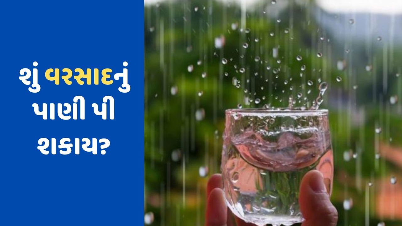 શું વરસાદનું પાણી આપણે પી શકીએ છે? વરસાદી પાણીનો ઉપયોગ કરતા પહેલા આટલું જાણી લેજો