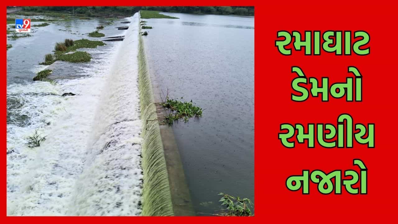બોટાદ જિલ્લામાં જામ્યો અષાઢી માહોલ, ગઢડાનો રમાઘાટ ડેમ ફરી ઓવરફ્લો, રમણીય નજારો જોવા ઉમટી પડ્યા લોકો- જુઓ Video