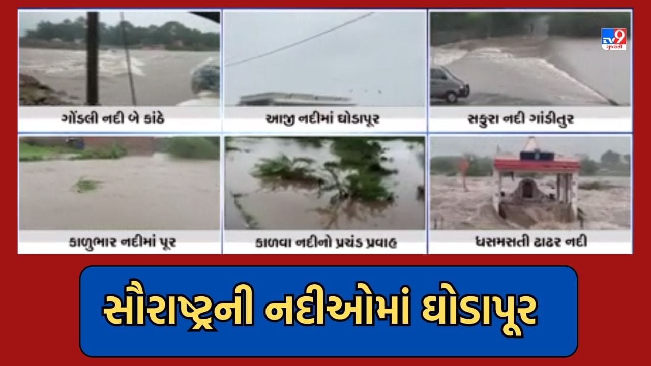 Rain Video: સૌરાષ્ટ્રમાં ભારે વરસાદ બાદ નદીઓ બની ગાંડીતૂર, કોટડાસાંગાણીથી રાજકોટ તરફ જવાનો રસ્તો બંધ Rain Video: સૌરાષ્ટ્રમાં ભારે વરસાદ બાદ નદીઓ બની ગાંડીતૂર, કોટડાસાંગાણીથી રાજકોટ તરફ જવાનો રસ્તો બંધ