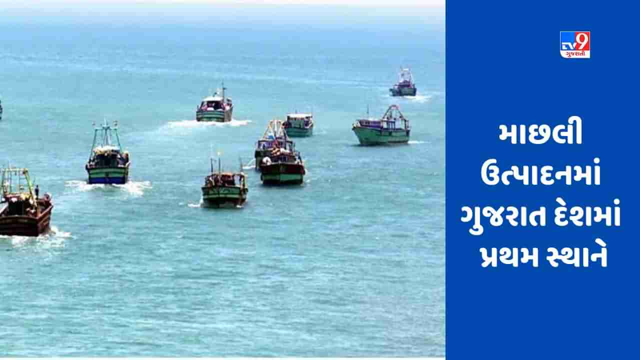 National Fish Farmers Day: દરિયાઈ માછલીના ઉત્પાદનમાં ગુજરાત દેશમાં પ્રથમ સ્થાને, છેલ્લા 4 વર્ષોમાં સરેરાશ વાર્ષિક 8.5 લાખ મૅટ્રિક ટન મત્સ્ય ઉત્પાદન