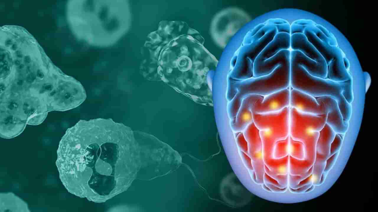 Brain Eating Amoeba : ખતરનાક કિસ્સો, કેરળના એક બાળકનું મગજ અમીબા ખાઈ જતા થયુ મોત, જાણો પહેલો કિસ્સો કયારે આવ્યો હતો સામે