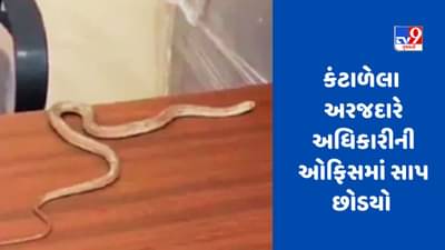 વ્યક્તિ 6 કલાક સુધી પરેશાન, અધિકારીઓ પાસેથી મદદ ન મળી, બાદમાં સાપને ઓફિસમાં છોડી દીધો