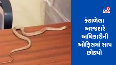 વ્યક્તિ 6 કલાક સુધી પરેશાન, અધિકારીઓ પાસેથી મદદ ન મળી, બાદમાં સાપને ઓફિસમાં છોડી દીધો