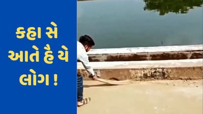 Viral Video: કેટલા તેજસ્વી લોકો!, સાવરણા વડે સાપને પકડવાનો કરી રહ્યો હતો પ્રયાસ, પછી જે થયું તે જોઈને હસવું રોકી નહી શકો તમે