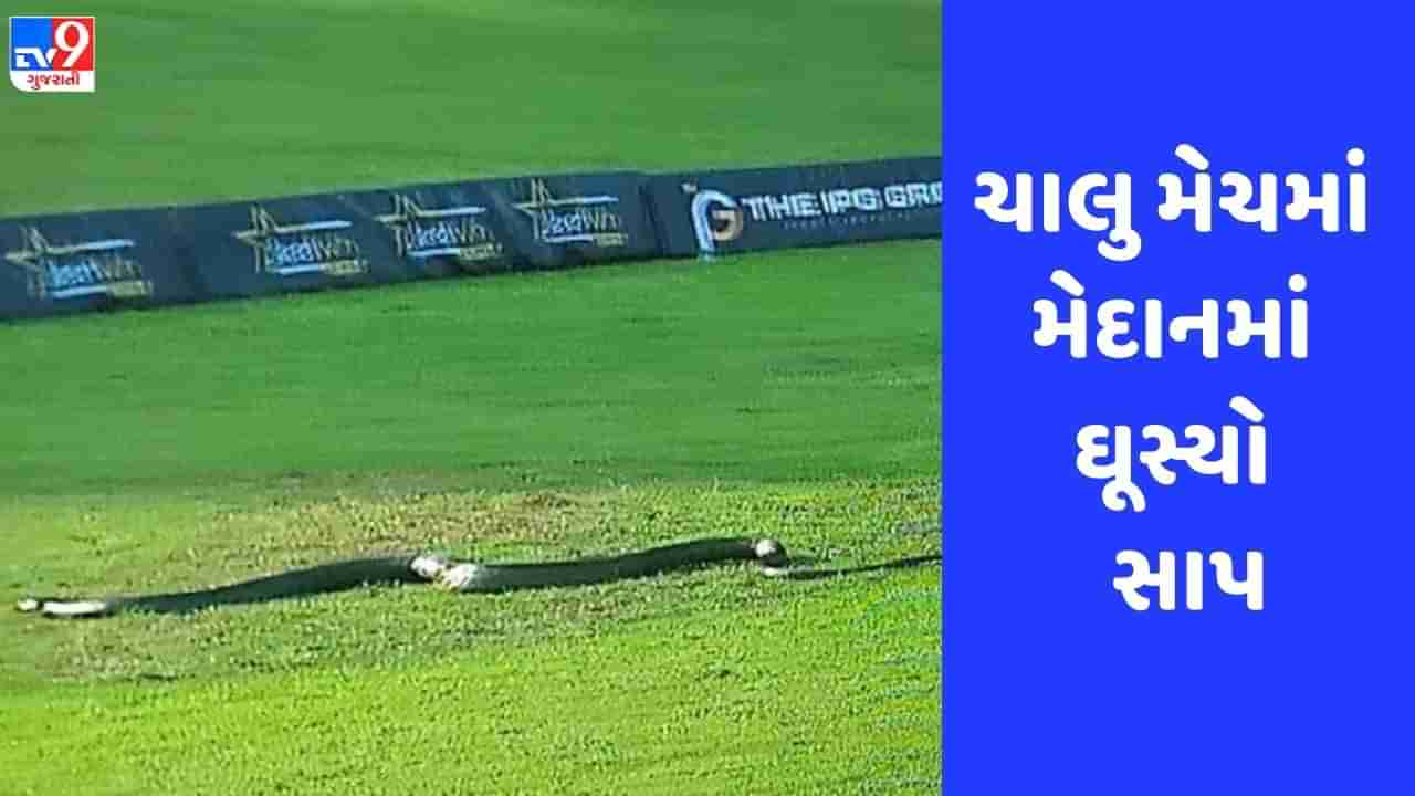 Viral: LIVE મેચ દરમિયાન મેદાનમાં ઘૂસ્યો કાળો સાપ, જુઓ Video