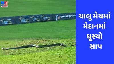 Viral: LIVE મેચ દરમિયાન મેદાનમાં ઘૂસ્યો કાળો સાપ, જુઓ Video