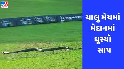 Viral: LIVE મેચ દરમિયાન મેદાનમાં ઘૂસ્યો કાળો સાપ, જુઓ Video