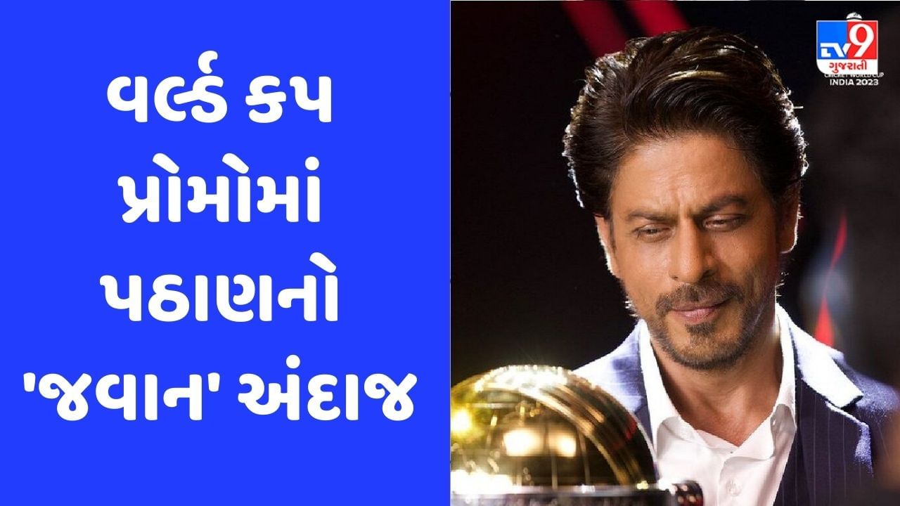 ODI વર્લ્ડ કપ 2023ના પ્રોમોમાં જોવા મળ્યો શાહરૂખ ખાનનો 'ચક દે' અવતાર, જુઓ Video