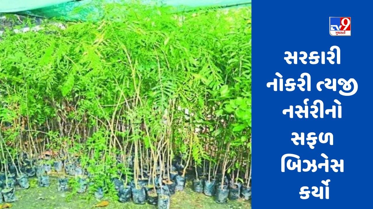 Success Story: ટીચરની નોકરી છોડીને ભાઈઓએ નર્સરીનો બિઝનેસ શરૂ કર્યો, આમ કમાણી વધી