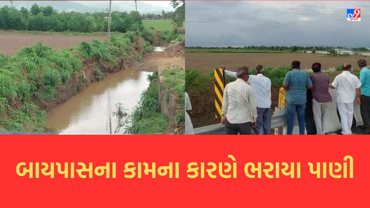 Junagadh : વંથલીથી વડાલ વચ્ચે બની રહેલ બાયપાસ રોડના કામને કારણે ખેડૂતોના ખેતરોમાં ઘૂસ્યા વરસાદી પાણી- જુઓ Video Junagadh : વંથલીથી વડાલ વચ્ચે બની રહેલ બાયપાસ રોડના કામને કારણે ખેડૂતોના ખેતરોમાં ઘૂસ્યા વરસાદી પાણી- જુઓ Video