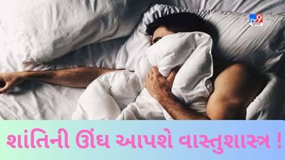 Vastushashtra : તમારી અનિંદ્રાનું કારણ તમારા ઘરની ઉત્તર દિશા તો નથી ને ! જાણો કયા વાસ્તુ ઉપાયથી પ્રાપ્ત થશે નિંદ્રાનું સુખ