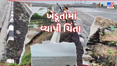 દેવભૂમિ દ્વારકામાં ભારે વરસાદને કારણે ખેડૂતોમાં વ્યાપી ચિંતા, Videoમાં જુઓ દ્રશ્યો