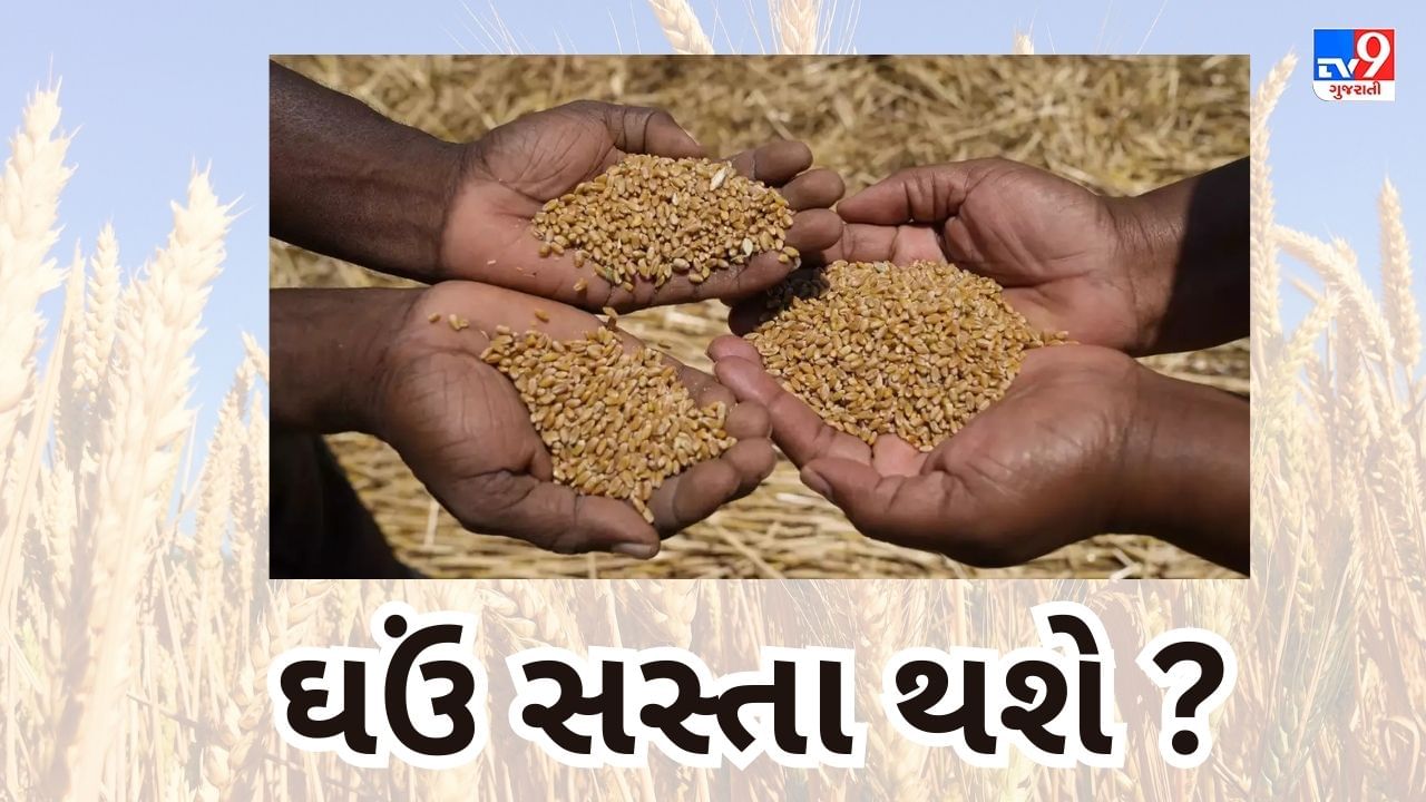 Commodity Market : તહેવારોની સિઝનમાં મળી શકે છે સસ્તા ઘઉં, સરકાર આયાત ડ્યુટી ઘટાડી શકે છે: સૂત્ર