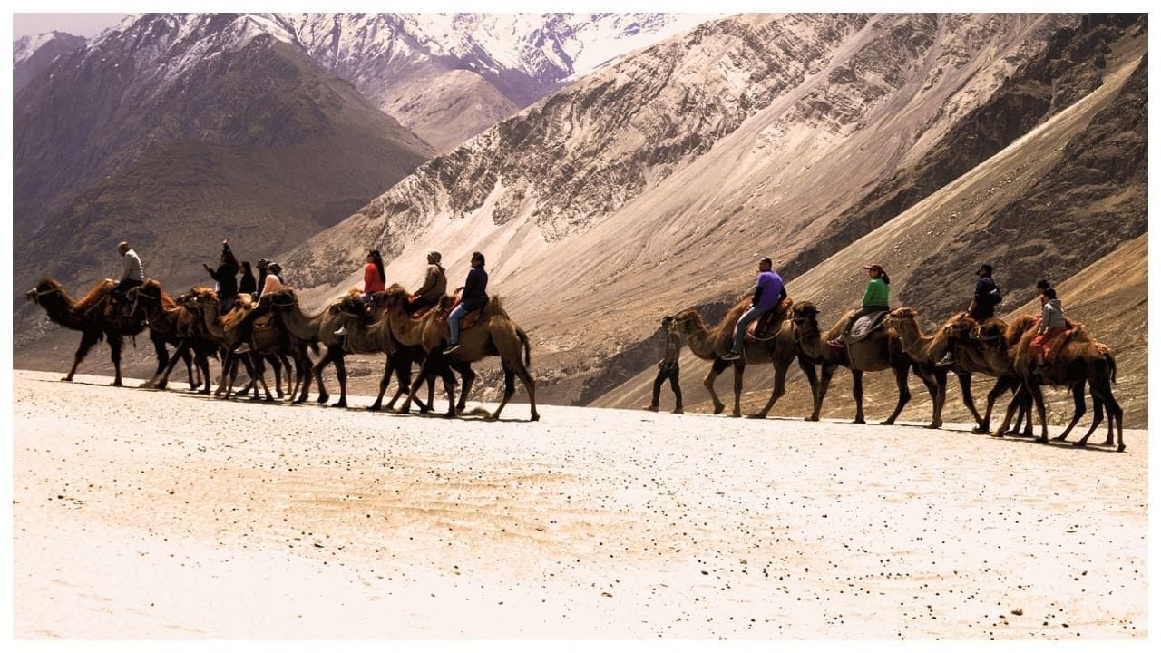 ગૃપમાં જાઓ - મોટા ગૃપને હોટલ અને મુસાફરી પર વધુ સારું ડિસ્કાઉન્ટ મળે છે. તમને ઘણા સારા અને સસ્તા ટૂર પેકેજ મળી શકે છે. આ સિવાય તમે ઘણા દિવસો સુધી સાથે રહેવા માટે એક મોટું ગેસ્ટહાઉસ પણ ભાડે લઈ શકો છો.