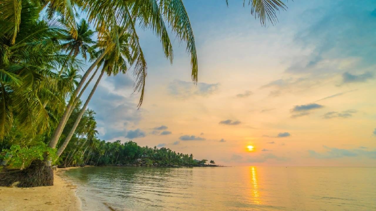 કોચી- કેરળ: બીચની સાથે હરિયાળીથી ઘેરાયેલું કેરળ ચોમાસામાં વધુ સુંદર બની જાય છે. કેરળના કોચીને અરબી સમુદ્રની રાણી પણ કહેવામાં આવે છે. કોચી, મરીન ડ્રાઇવ, વિલિંગ્ડન આઇલેન્ડ બીચ અહીં લોકપ્રિય છે.