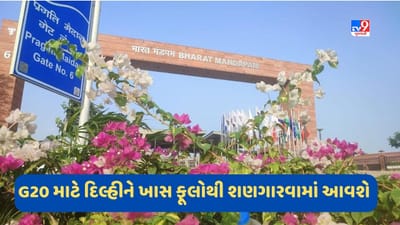 G20 summit: મેરીગોલ્ડ-જાફરીથી લઈને જાસ્મીન સુધી, દિલ્હીમાં લગાવવામાં આવશે આ ફૂલો, 2.5 લાખ પોટ્સથી કરાશે શણગાર, G20 માટે ખાસ ડેકોરેશન