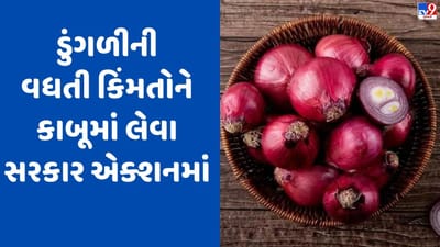 Commodity Market Today: સરકારે ડુંગળીના ભાવને અંકુશમાં લેવા લીધા પગલાં, 4 દિવસમાં 2800 ટનની કરી ખરીદી