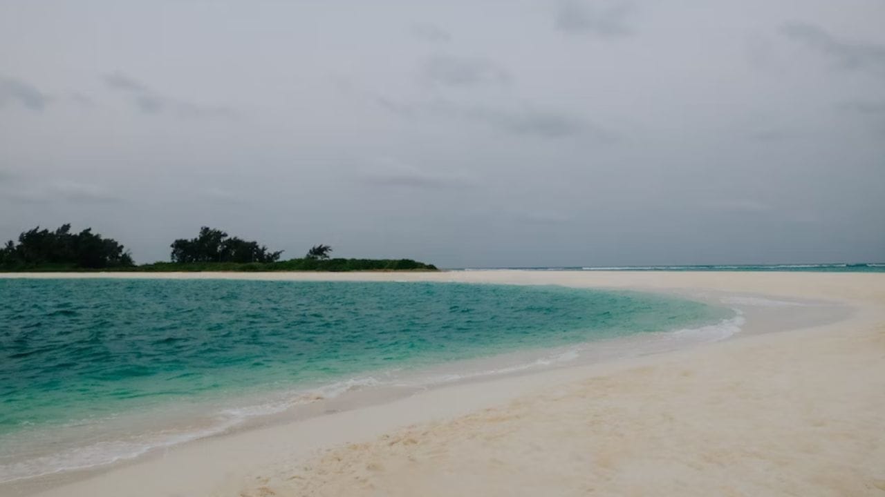 ભારતમાં ઘણા ઓફબીટ બીચ છે, જ્યાં હજારો લોકો ફરવા આવે છે. બીચ એક એવી જગ્યા છે, જ્યાં દરેક ઋતુમાં લોકો મજા કરવા આવે છે. આજે અમે તમને ભારતના કેટલાક એવા બીચ વિશે જણાવીશું, જ્યાં તમે મુલાકાત લઈ શકો છો.