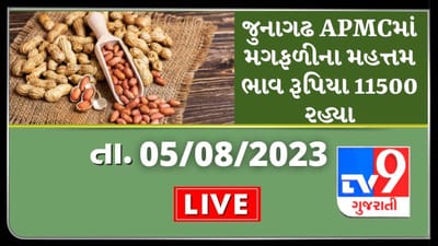 Mandi : જુનાગઢ APMCમાં મગફળીના મહત્તમ ભાવ રૂપિયા 11500 રહ્યા, જાણો જુદા-જુદા પાકના ભાવ