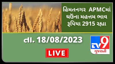 Mandi : હિમતનગર  APMCમાં ઘઉંના મહત્તમ ભાવ રૂપિયા 2915 રહ્યા, જાણો જુદા-જુદા પાકના ભાવ