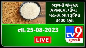 Mandi : ભરૂચની જંબુસર APMCમાં મગફળી મહત્તમ ભાવ રૂપિયા 3400 રહ્યા,જાણો જુદા-જુદા પાકના ભાવ Mandi : ભરૂચની જંબુસર APMCમાં મગફળી મહત્તમ ભાવ રૂપિયા 3400 રહ્યા,જાણો જુદા-જુદા પાકના ભાવ