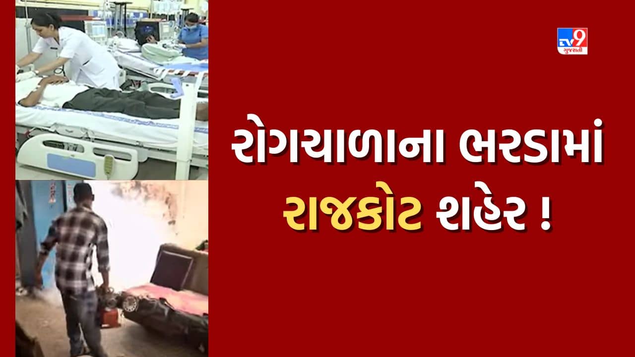રાજકોટ શહેર તહેવાર સમયે જ રોગચાળાના ભરડામાં, સપ્તાહમાં ડેન્ગ્યુના 10 કેસ નોંધાતા આરોગ્ય તંત્ર દોડતું થયું, જુઓ Video