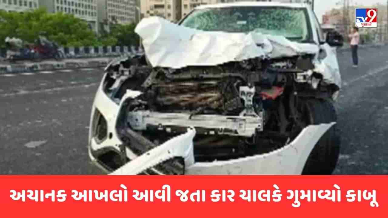 Ahmedabad Breaking News : SG હાઇવે પર તથ્યવાળી થતાં રહી ગઈ ! અચાનક આખલો આવી જતા કાર ચાલકે ગુમાવ્યો કાબૂ, આખલાનું ઘટના સ્થળે મોત