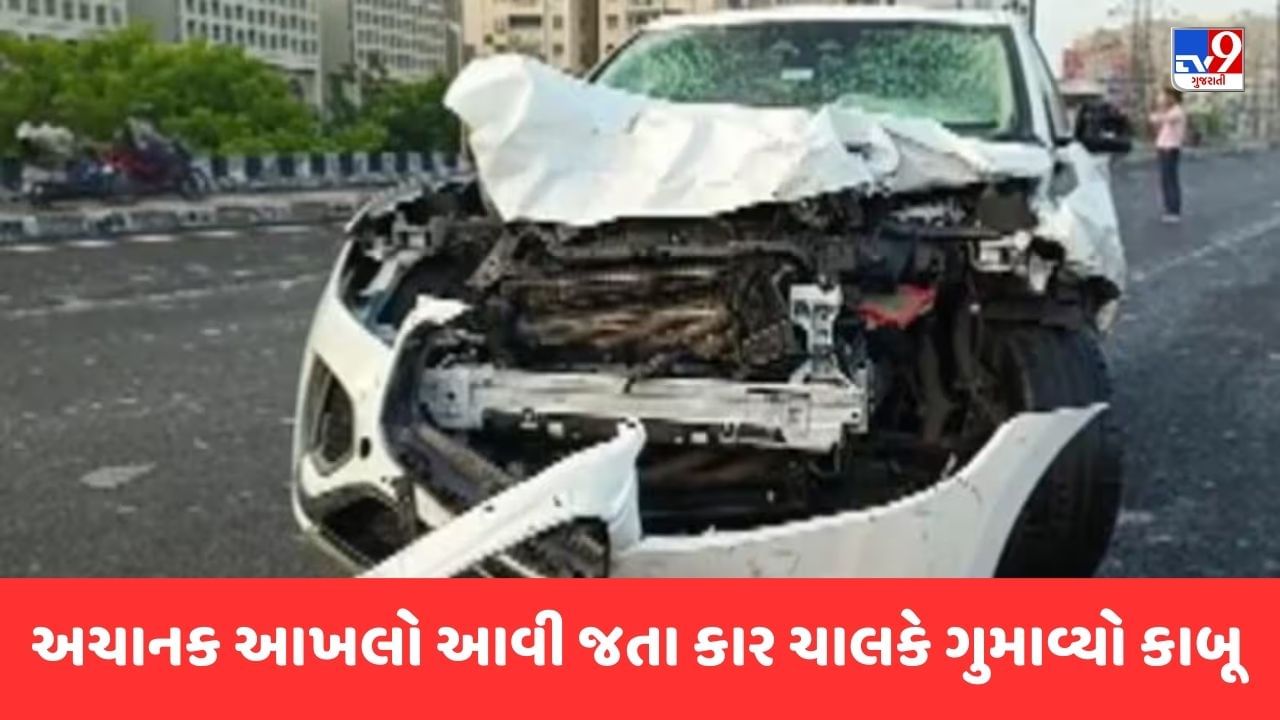 Ahmedabad Breaking News : SG હાઇવે પર તથ્યવાળી થતાં રહી ગઈ ! અચાનક આખલો આવી જતા કાર ચાલકે ગુમાવ્યો કાબૂ, આખલાનું ઘટના સ્થળે મોત