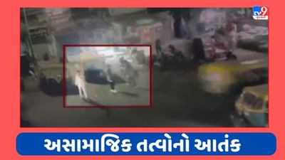 Ahmedabad : બાપુનગરમાં અસામાજિક તત્વોનો આતંક, એક આરોપી સામે 7 અને અન્ય એક આરોપી સામે 2 ગુના દાખલ, જુઓ Video