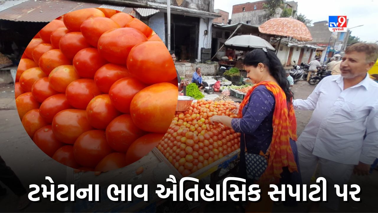 Tomato Price: ટામેટા ખરીદવા કે સુકો મેવો, ટામેટાના ભાવની ડબલ સદીથી ગૃહિણીઓનું બજેટ ક્લિન બોલ્ડ, જુઓ Video 