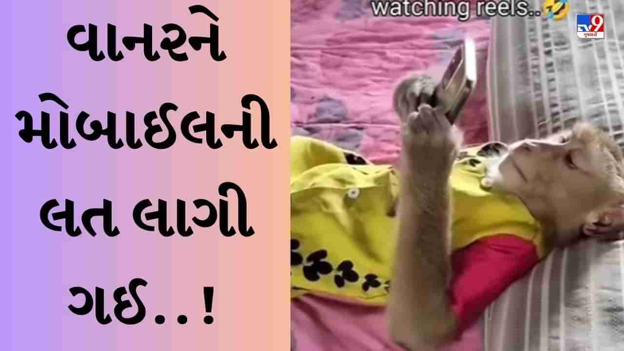 Funny Viral Video : મુઝે તો તેરી લત લગ ગઈ..! ફોન હાથમાં આવતાં જ વાનરે વીડિયો જોવાનું ચાલુ કર્યું, લોકો આપી રહ્યા છે ફની પ્રતિક્રિયા