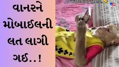 Funny Viral Video : મુઝે તો તેરી લત લગ ગઈ..! ફોન હાથમાં આવતાં જ વાનરે વીડિયો જોવાનું ચાલુ કર્યું, લોકો આપી રહ્યા છે ફની પ્રતિક્રિયા