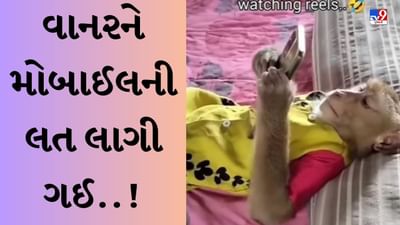 Funny Viral Video : મુઝે તો તેરી લત લગ ગઈ..! ફોન હાથમાં આવતાં જ વાનરે વીડિયો જોવાનું ચાલુ કર્યું, લોકો આપી રહ્યા છે ફની પ્રતિક્રિયા