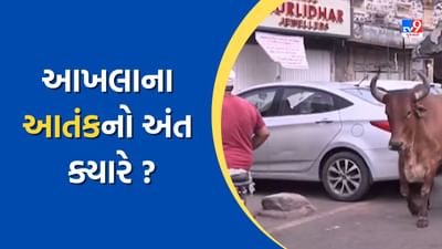 Jamnagar: અહીં તંત્રનું નહીં 'ઢોર રાજ' ! આખલાએ અડફેટે લીધેલા વ્યક્તિનું મોત, જુઓ Video