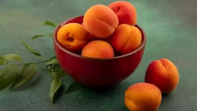 આંખો, ત્વચા, હૃદય, ડાયાબિટીસ અને કેન્સર જેવા રોગો સામે રક્ષણ આપવા માટે જરદાળુ ફાયદાકારક છે. જરદાળુમાં પણ ફાઈબરનું પ્રમાણ વધુ હોય છે. જેનું સેવન કરવાથી પાઈલ્સ અને કબજિયાત જેવી સમસ્યાઓથી રાહત મળે છે.