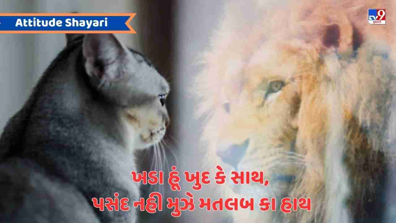 Attitude Shayari : સમય કા ખેલ હૈ છોટે, જિસકા આ ગયા વો છા ગયા - જેવી શાયરી વાંચો