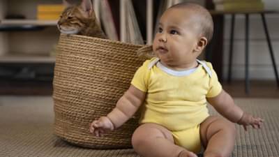 Baby Names starting with H: હર્ષિત, હાર્દિક, હર્ષ, H થી શરૂ થતા પોપ્યુલર નામ અને તેનો અર્થ