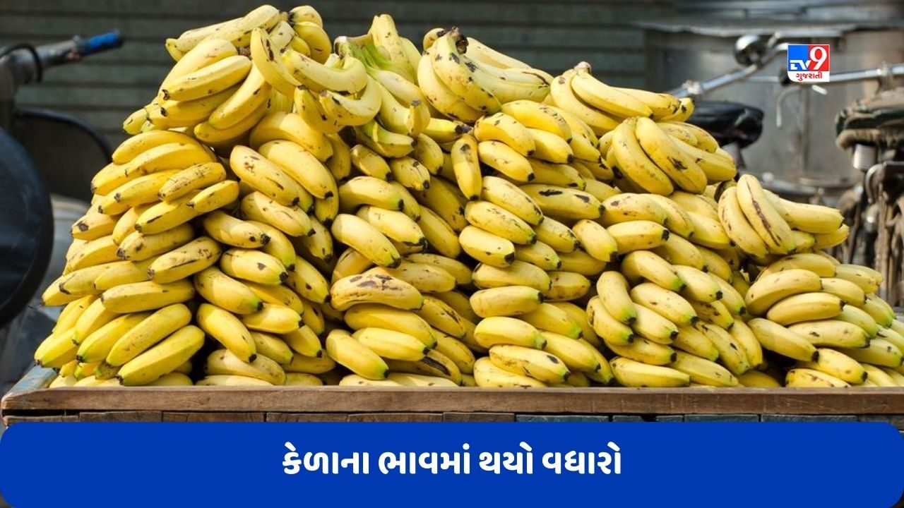 Banana Price: શાકભાજી બાદ ફળના ભાવમાં વધારો, કેળાના ભાવ પહોંચ્યા 100 રૂપિયાને પાર